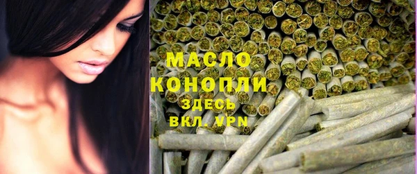 индика Кирсанов