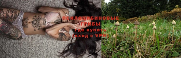 бошки Ступино