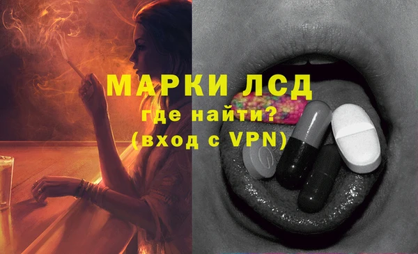 индика Алексин