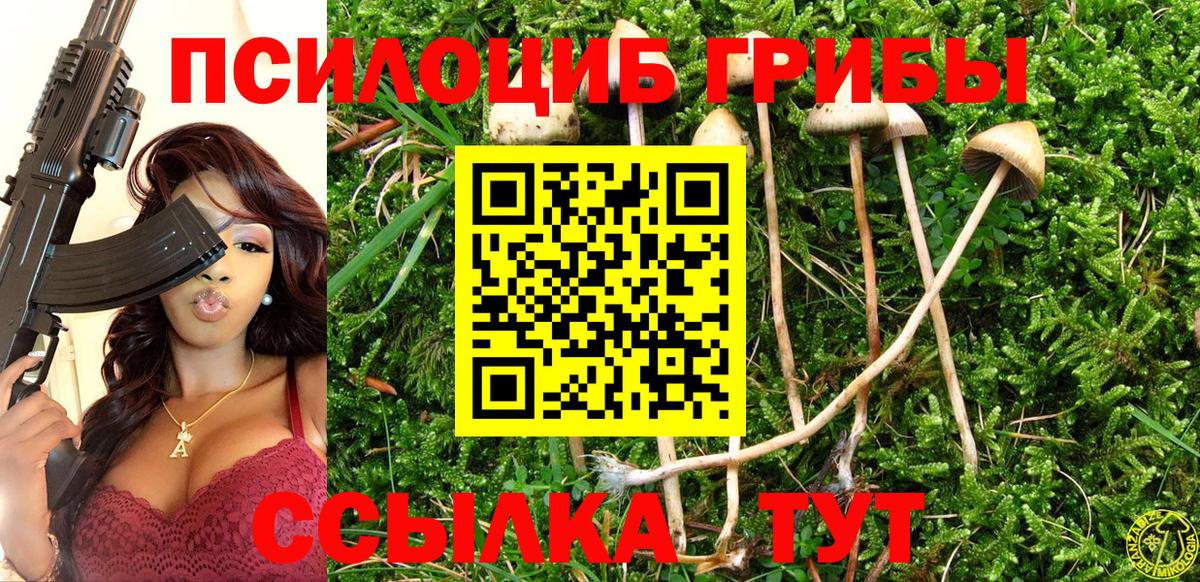Курганинск  Псилоцибиновые грибы Psilocybine cubensis  Вход с VPN  Псилоцибиновые грибы Psilocybine cubensis 